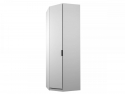 Шкаф угловой для Одежды Экон ЭШУ-РП-21-8