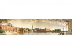 Кухонный фартук глянцевый SP-056