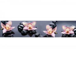 Кухонный фартук глянцевый SP-110