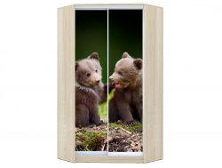 Шкаф-купе Хит-У-23-4-77 фото 25