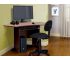 Стол компьютерный №2 лдсп